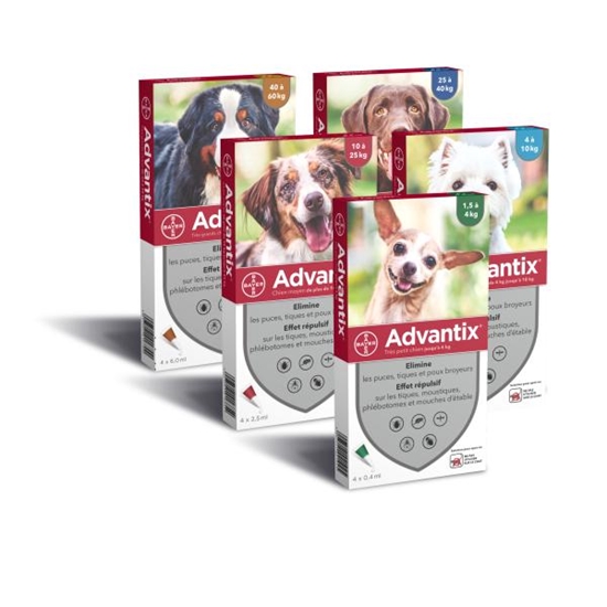 Picture of Bayer Advantix Spot-On for Dogs | Flea & Tick Control